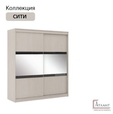 Шкаф-купе Сити 11-2